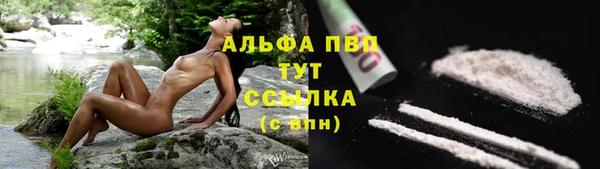 амф Беломорск
