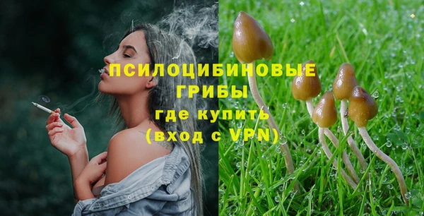 2c-b Белокуриха