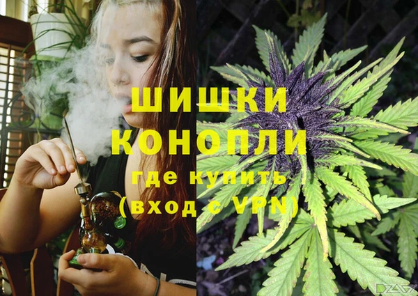 2c-b Белокуриха