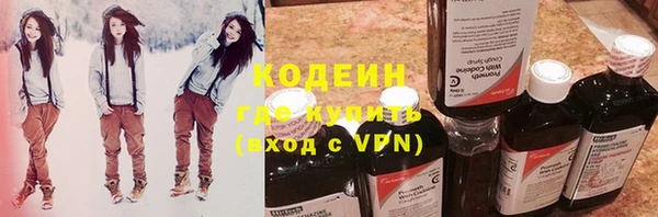 индика Балахна