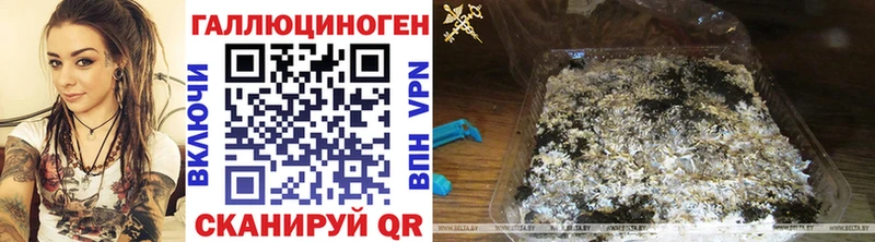 дарнет шоп Ясногорск Псилоцибиновые грибы MAGIC MUSHROOMS